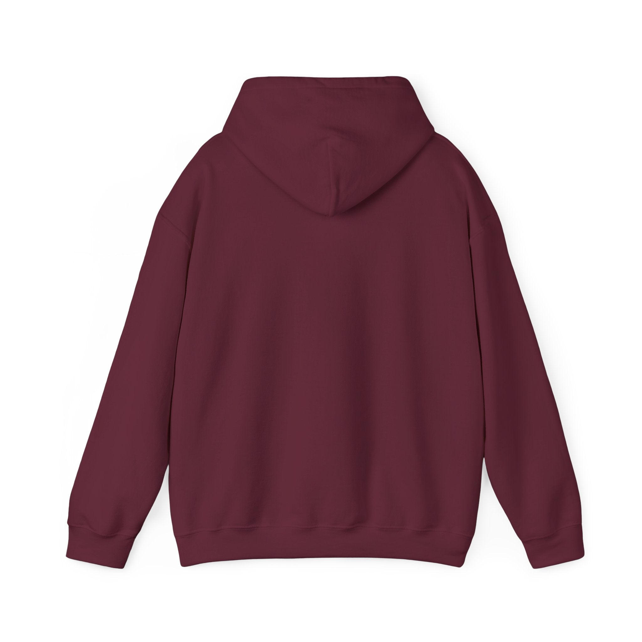 TVL Football | Adult Hoodie