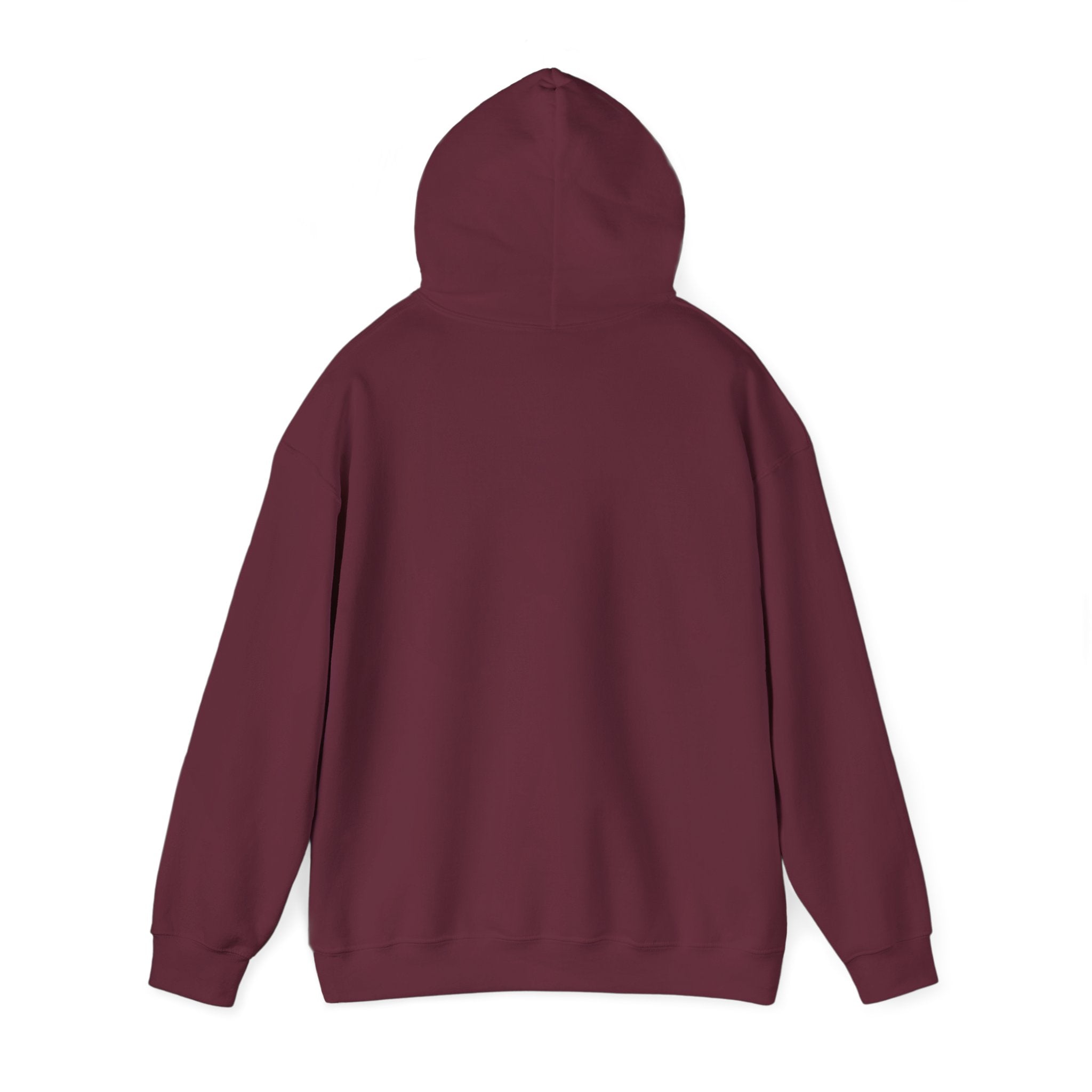 TVL Football | Adult Hoodie